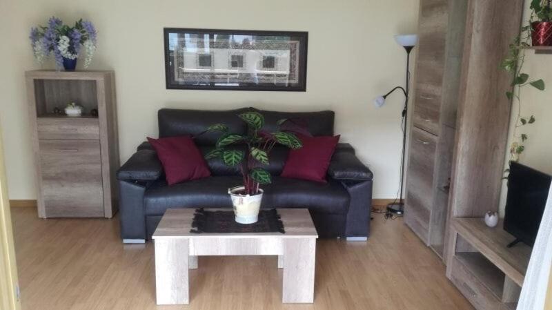 100M2 Big Apartment Private Garden And Pool/ 100M2 Gran Apartamento Jardin Privado Y Piscina / Acogedor Apartamento En Zona Tranquila Y Agradable Cambrils Εξωτερικό φωτογραφία